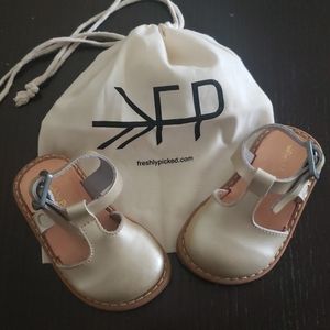 Freshly Picked platinum clogs